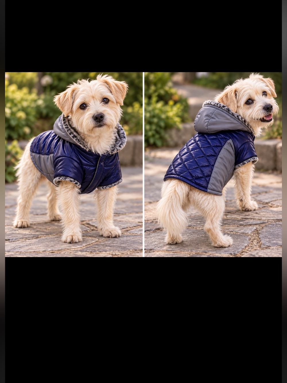 Top Paw Blue and Gray Dog Jacket